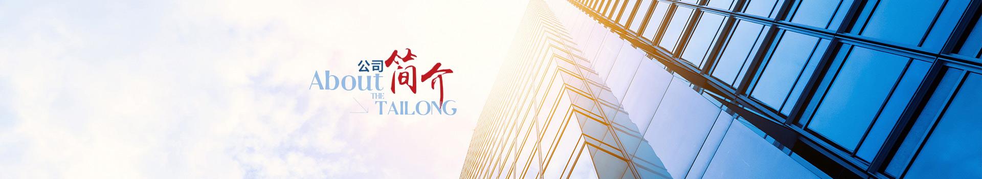 公司簡(jiǎn)介